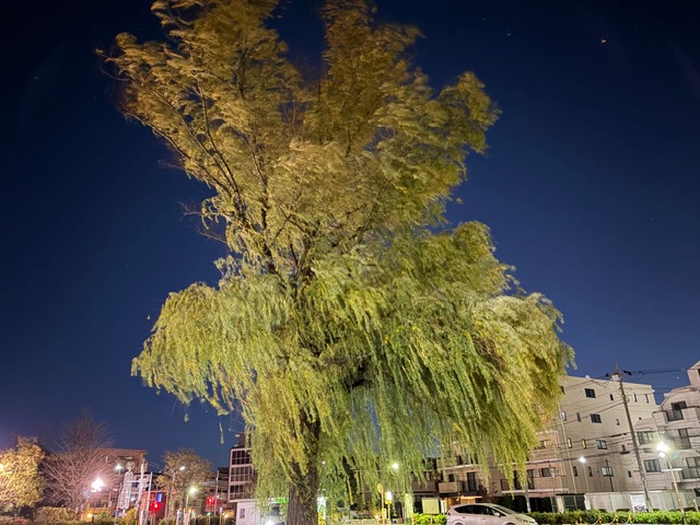 「週刊COMPASS」第158号